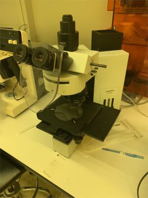 Olympus BX60 Microscope